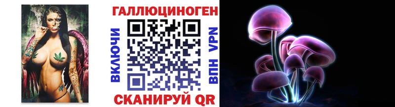 Галлюциногенные грибы Psilocybine cubensis  купить   Байкальск 